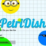Petri Dish Agario