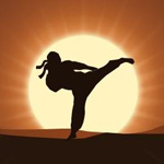 Бой с тенью