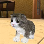 Игра Симулятор кота