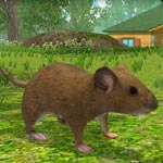 Игра Симулятор Мыши