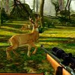 Игра Deer Hunter