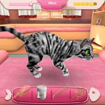 Игра Приют для кошек