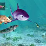 Игра Fishing Strike
