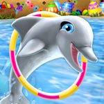 Игра Шоу дельфинов 6