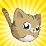 Игра Котик попрыгунчик геймплей