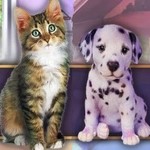 Игра Поиск предметов для питомцев геймплей