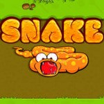 Игра Аркада: Голодная змейка Игра Аркада: Голодная змейка
