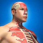 Игра Idle Human геймплей