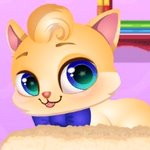 Игра Домик для кошек