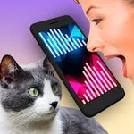 Игра Кошачий переводчик