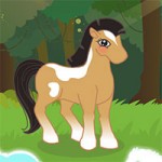 Игра Для девочек тесты пони