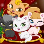 Котята: Уход
