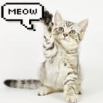 Игра Загадки: Угадай, чьи лапы? Игра Загадки: Угадай, чьи лапы?