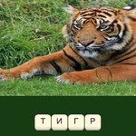 Игра Слово из букв: Зоопарк