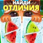 Игра Котопоиск Игра Котопоиск
